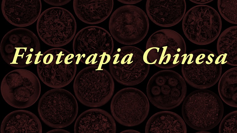 Fitoterapia Chinesa G